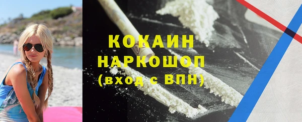 прущий лед Богданович
