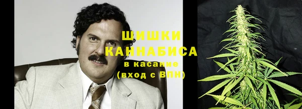 прущий лед Богданович