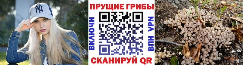 Галлюциногенные грибы Psilocybe  Купить где  Лениногорск 